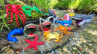 MISTERIUS⁉️ Menemukan Sea Monster Tersembunyi di Aliran Sungai Kecil: Bloop & Sea Eater (Part 53)