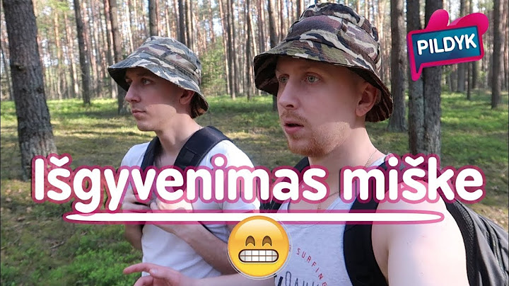 Pildyk ofisas. Išgyvenimas miške su sTimoMedia  | Lauritta, sTimoMedia, Talžūnas, Vėjas