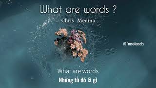 [Vietsub+Lyrics] What Are Words - Chris Medina