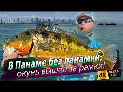 🇺🇸🇵🇦 Gatun Lake Fishing, Panama. On the way to Amazonia.