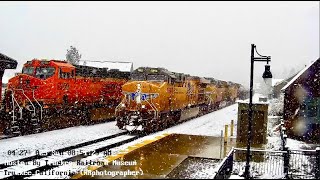 Truckee Live Cam Highlights (April-May 2025)