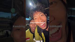 Akhirnya balik kerumah setelah 2 bulan, dan bisa ngasih surprise untuk qurban tahun ini :)…