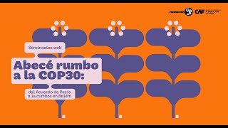 Seminario web 'Abecé rumbo a la COP 30 del Acuerdo de París a Belém'