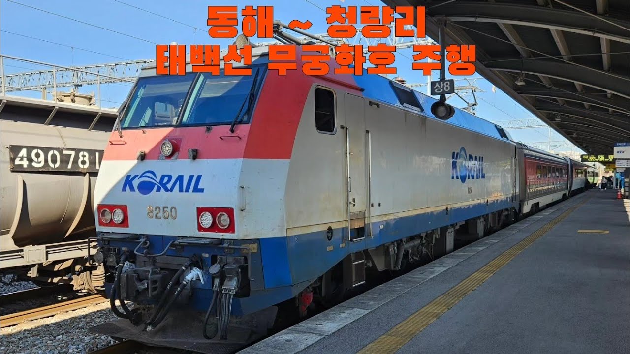 태백선 무궁화호 동해 ~ 청량리 주행