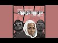Bassie & Soa Mattrix - Thandumuntu (Official Audio) feat. Happy Jazzman