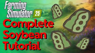Soybean Complete Guide How To Grow, Harvest Sell Soybeans In Farming Simulator 25