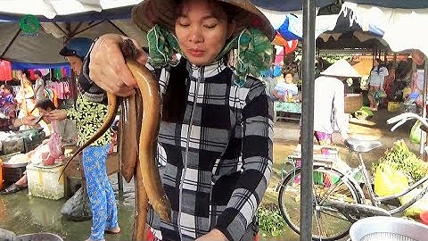 Đi chợ quê | Chợ xã Phi Thông - Rạch Giá - Kiên Giang | VietNam Market | Sắc Màu VN