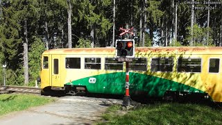 železniční přejezd Dešenice - P835 / 27.04.2024 / Czech railroad crossing