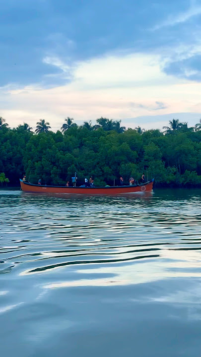 #remix #music #fisherman #shortsfeed #shorts #trendingshorts