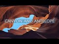 Каньон и антилопа / Canyon and Antelope / Arizona /4K