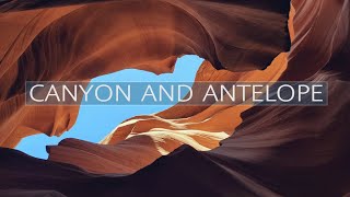 Каньон и антилопа / Canyon and Antelope / Arizona /4K