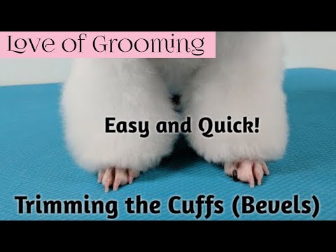 How to trim Cuffs on a Toy Poodle an easy way!