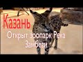 Казань. Новый Зоопарк Река Замбези открыт