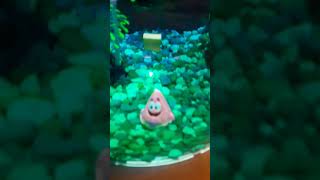 introducing aqua