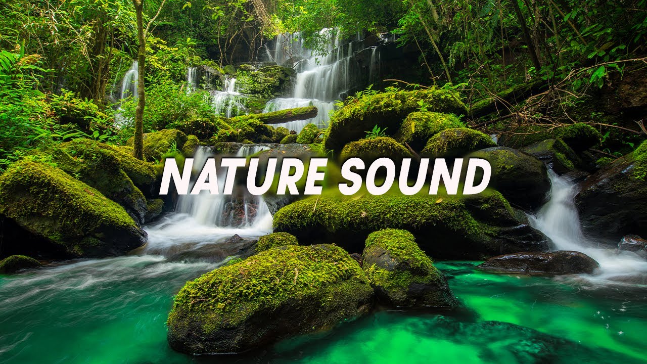 ⁣Relaxing Music Relieves Stress With Nature Sounds | Stop Anxiety & Depression | Soul Healing #10