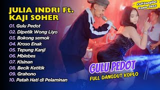 JULIA INDRI FT KAJI SOHER - GULU PEDOT - DIPETIK WONG LIYO - BOKONG SEMOK || FULL DANGDUT KOPLO 2025