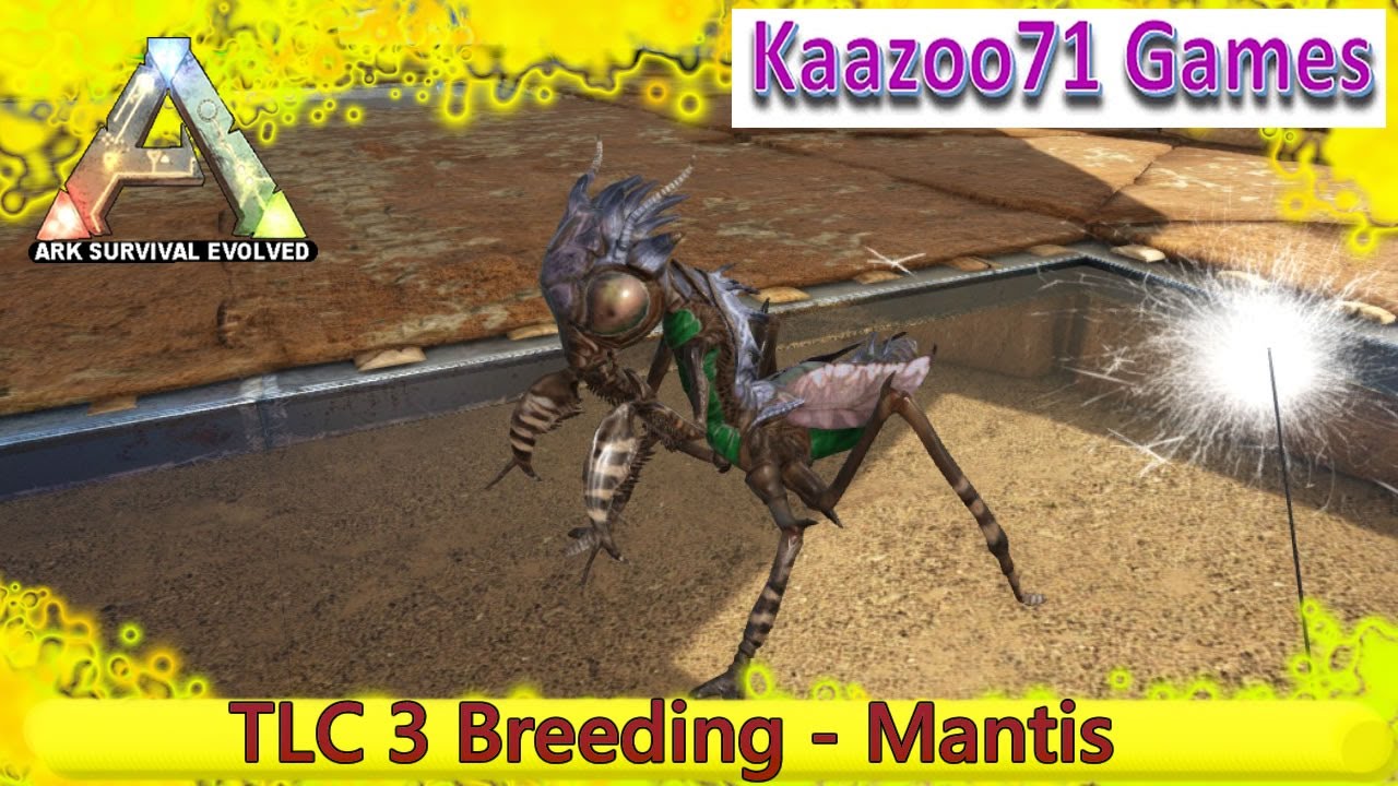 TLC 3 Breeding Mantis - Ark Survival Evolved