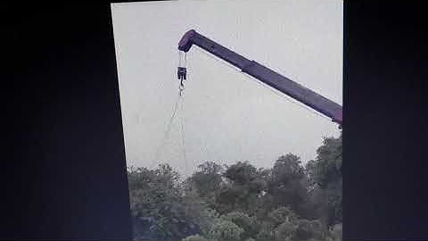 cho chủ tịch xã mượn cây cảnh rồi không đòi lại được có hay không phần 2