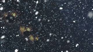 Whispering Arctic Night 🌨️ Blizzard & Cold Wind ASMR for Deep Sleep and Serenity