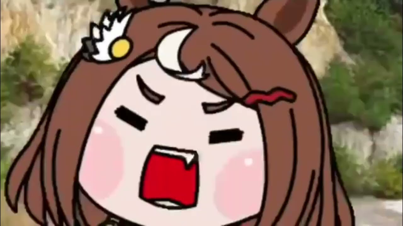 たぬき - YouTube