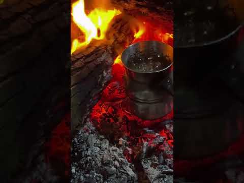 تحت رجلي اللي ضاع واللي بيضيع واللي لسه هيضيع فدايا الدنيا و ناسها وكل ما فيها 