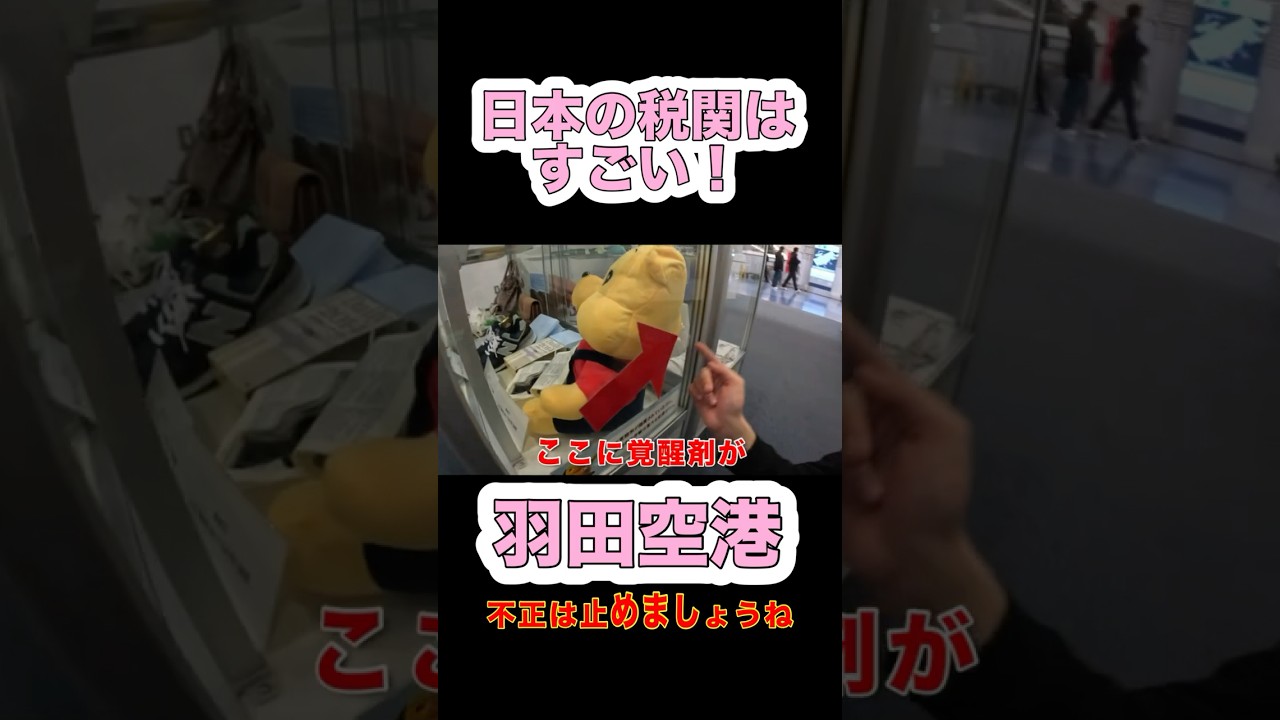 日本の税関はすごい！ #ミセスグリーンアップル #海外旅行 #ハワイ #ハワイ旅行 #ハワイ旅行最新2026