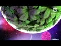 عدنا كوكب غرناطة سبيس تون 2014