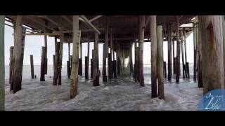 Your View Of The Outer Banks: Kitty Hawk Pier Daze