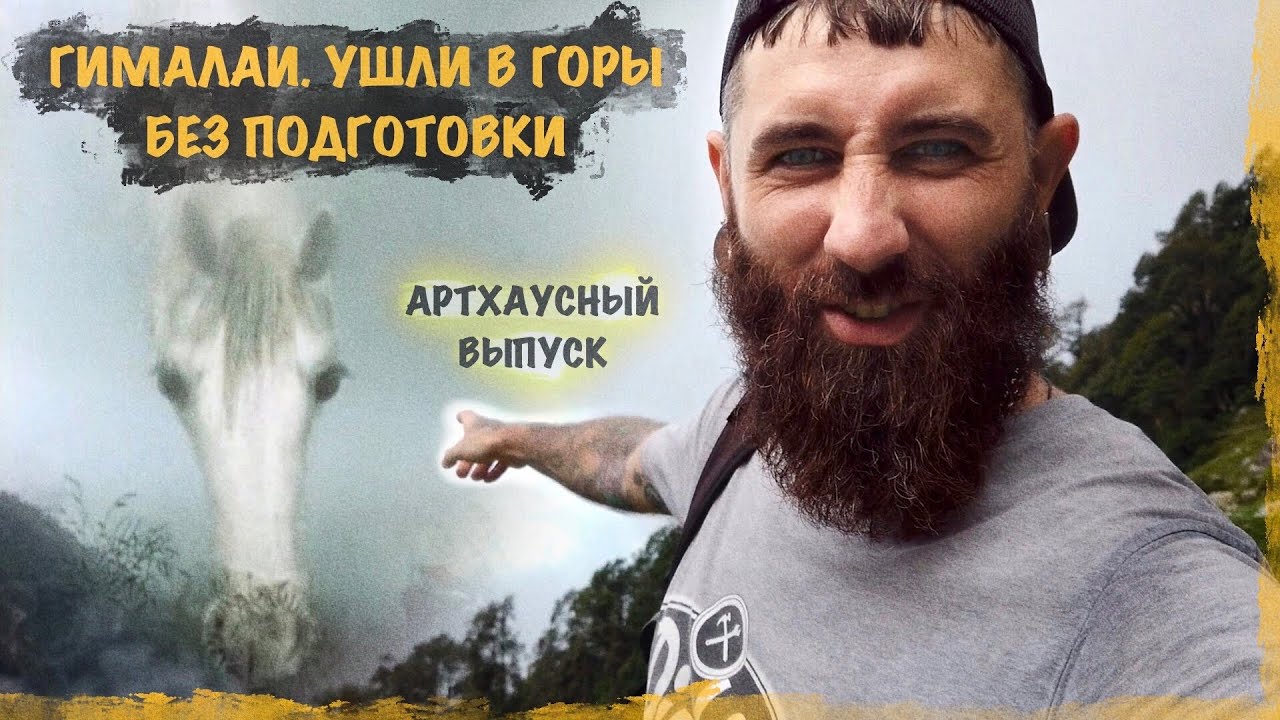 ГИМАЛАИ. Ушли в горы без подготовки. Плато Триунд, Дхарамсала. Выпуск с ...