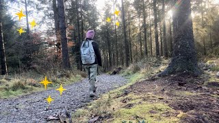 Solo Van Life Adventure In Dartmoor Wild Swims And Bird Surveys