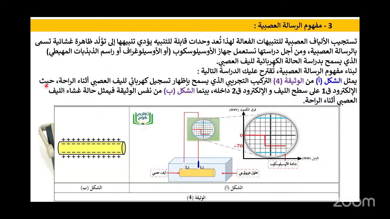 تربص مسك الختام الحصة 5: مراجعة الدعامة الخلوية للرسالة العصبية الجزء 2