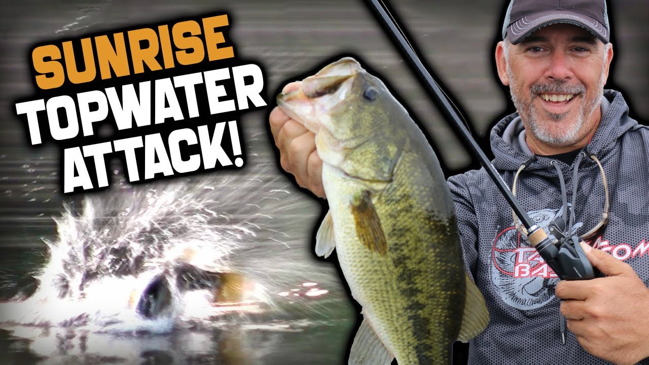 Topwater Bass Fishing Summer Chug Bug Fishing Forward - YouTube Kurt Mazurek