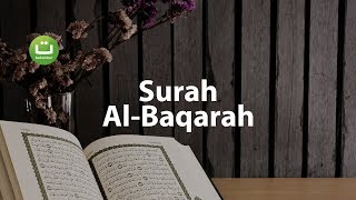 Juz 1 Surah Al Baqarah سورة البقرة - Abu Usamah ᴴᴰ
