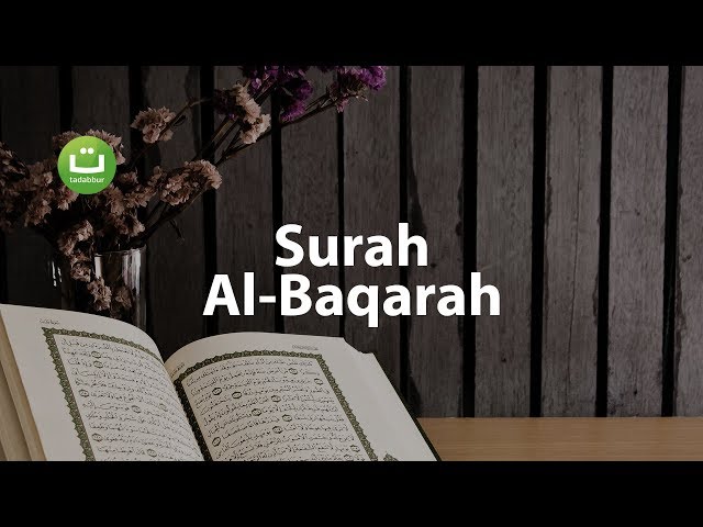 Juz 1 Surah Al Baqarah سورة البقرة - Abu Usamah ᴴᴰ class=