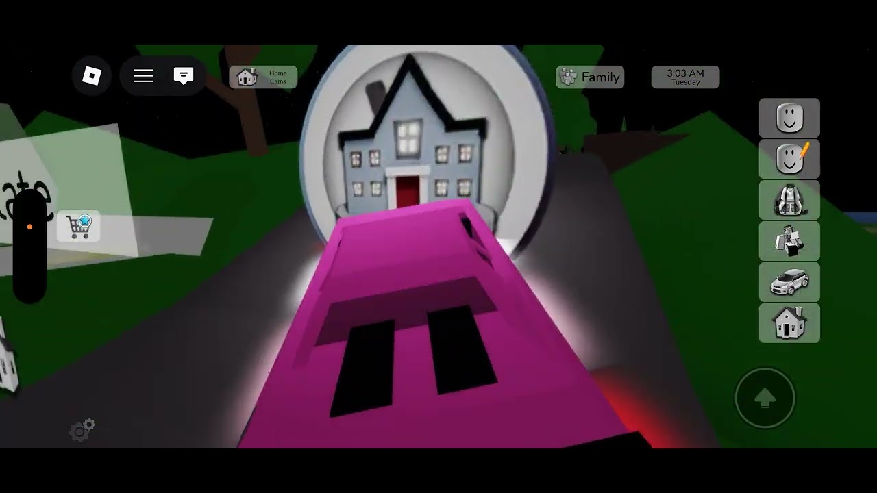 Ava and Grace having fun in Brookhaven part 1 of 4