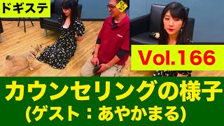 初回カウンセリングとベーストレーニングの模様(飼い主：あやかまる )  DOGGY STATION Vol.166/犬のしつけ・問題行動・犬の心理学・犬の行動学・ドッグビヘイビアリスト