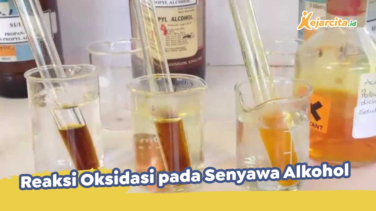 Тест алкогольные напитки