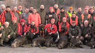 Hunting Serbia - Wild boar hunting | Lov divlje svinje Homoljske pl. |Caccia ai cinghiali FULL VIDEO
