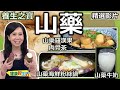 【健康好生活 超精彩回顧】神仙之藥「山藥」性甘味淡除秋燥！藥膳食補好百搭！///山藥牛奶蜂蜜飲 山藥肉骨茶 山藥牧羊人派 山藥海鮮粉絲鍋///