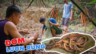 Rất Nhiều Lươn To Ở Đoạn Suối Giữa Rừng - Tho Rung