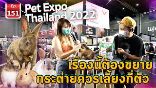 Pet Expo Thailand 2022 เรื่องนี้ต้องขยายกระต่ายควรเลี้ยงกี่ตัว - เพื่อนรักสัตว์เอ้ย EP.151