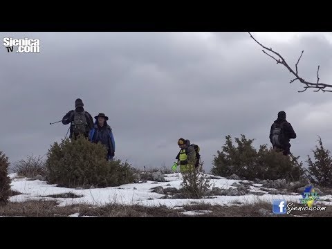 Video: Kuhar u Bijeloj kući sa bicepsom od 60 cm: Andre Rush