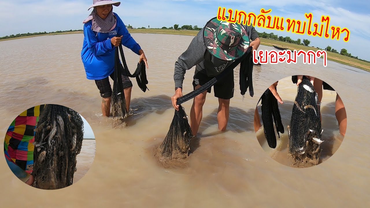 แทบไม่อยากเชื่อสายตา ครั้งแรกก็แบกกลับไม่ไหว!! หว่านแห หาปลาห้วยแอ่งมหาสารคาม หมานคัก!!