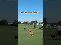 Not a shocking sight 😅 #LIVGolf #golf #horse #horsesticker