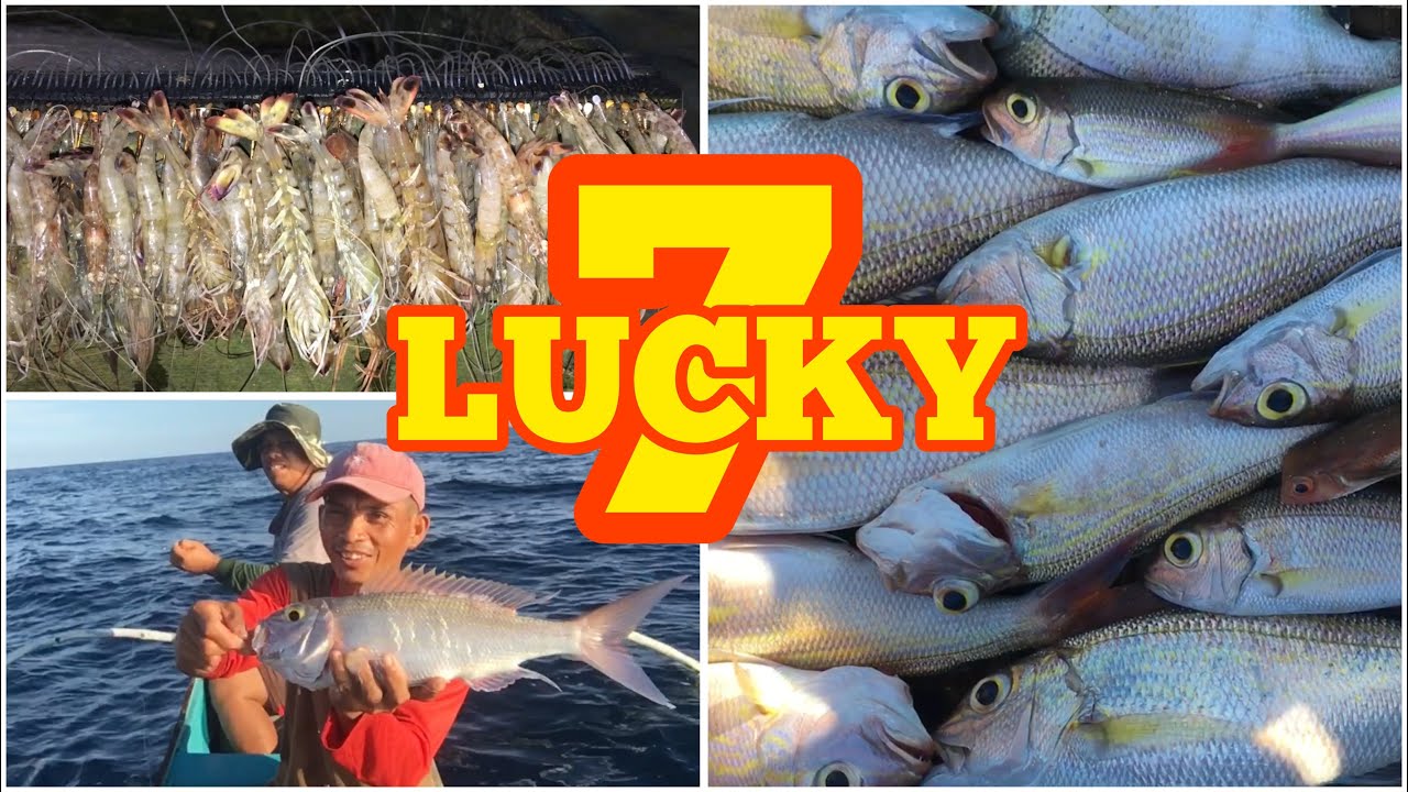 DAY 7 LUCKY 7 SAME SPOT EP46 LONGLINE FISHING YouTube day-7-lucky-7-same-spot-ep46-longline-fishing-youtube