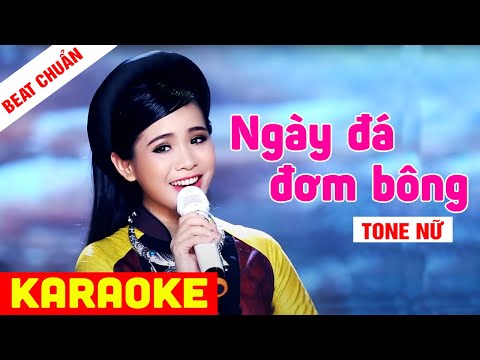 Ngày Đá Đơm Bông Karaoke - KARAOKE Ngày Đá Đơm Bông Tone Nữ - Beat Chuẩn Quỳnh Trang