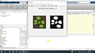 Leaf Segmentation in Image processing and Computer Vision - (MATLAB full course)