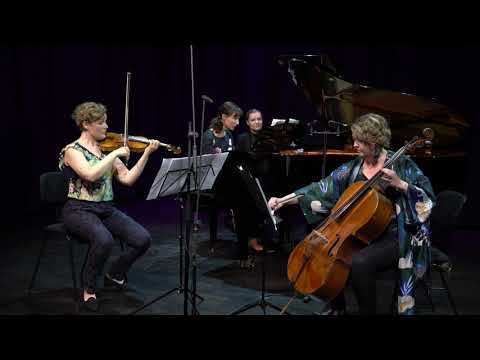 Laura Netzel, pseud. N. Lago (1839-1927): Pianotrio op.78 1. movement  Allegro moderato