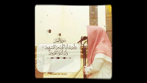 تلاوة رائعة من سورة النمل للقارئ (محمد اللحيدان) حفظه الله
