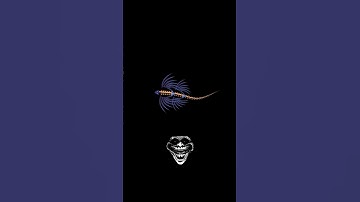 A Dragon That Follows Your Mouse?! | HTML CSS JavaScript Animation 🔥🐉🖱️